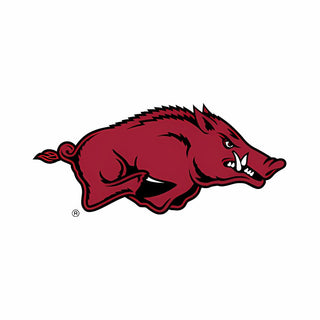 University of Arkansas