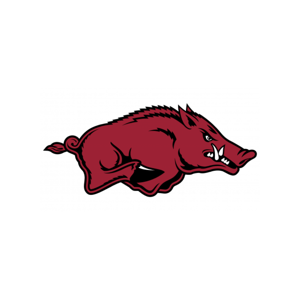 Arkansas Razorbacks - turtleson
