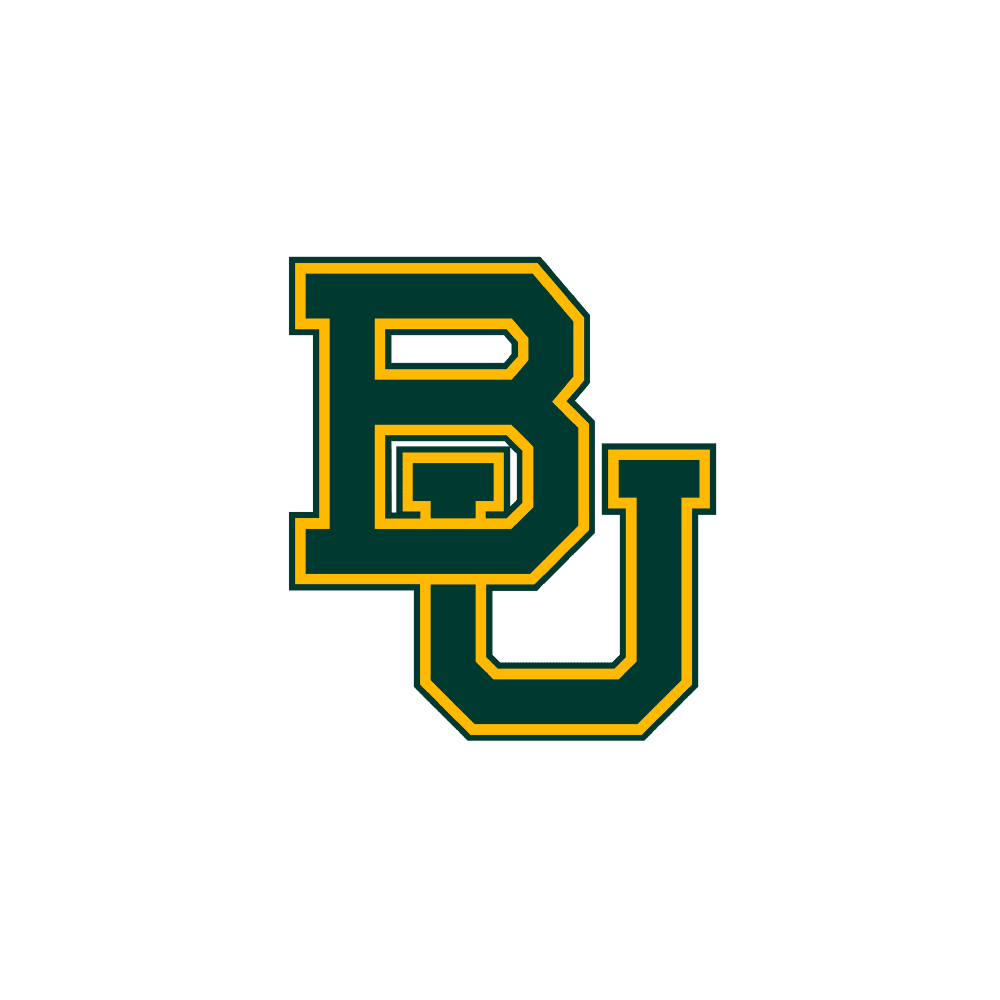 Baylor Bears - turtleson