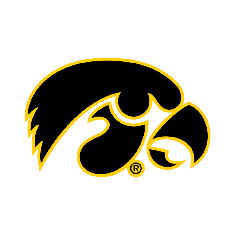 Iowa Hawkeyes - turtleson