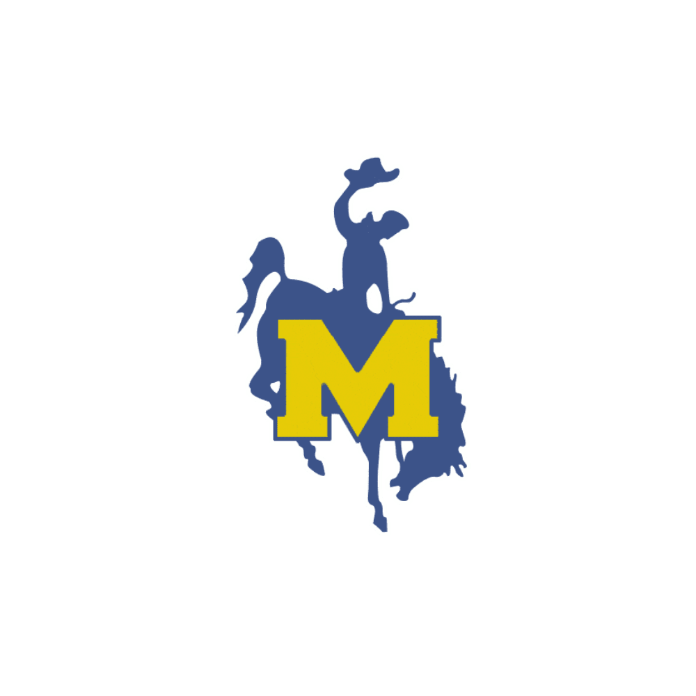 McNeese State Cowboys - turtleson