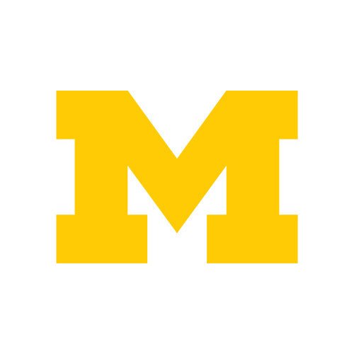 Michigan Wolverines - turtleson