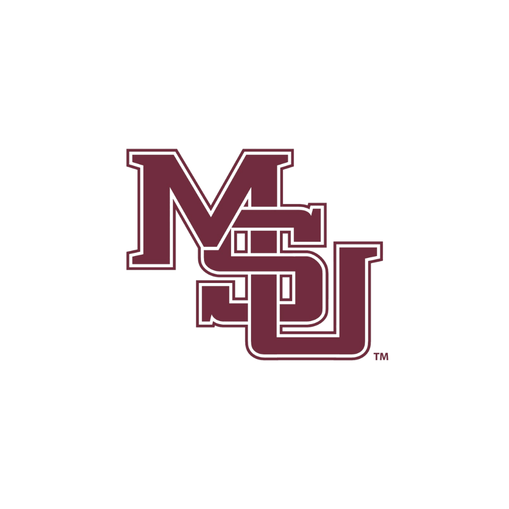 Mississippi State Bulldogs - turtleson
