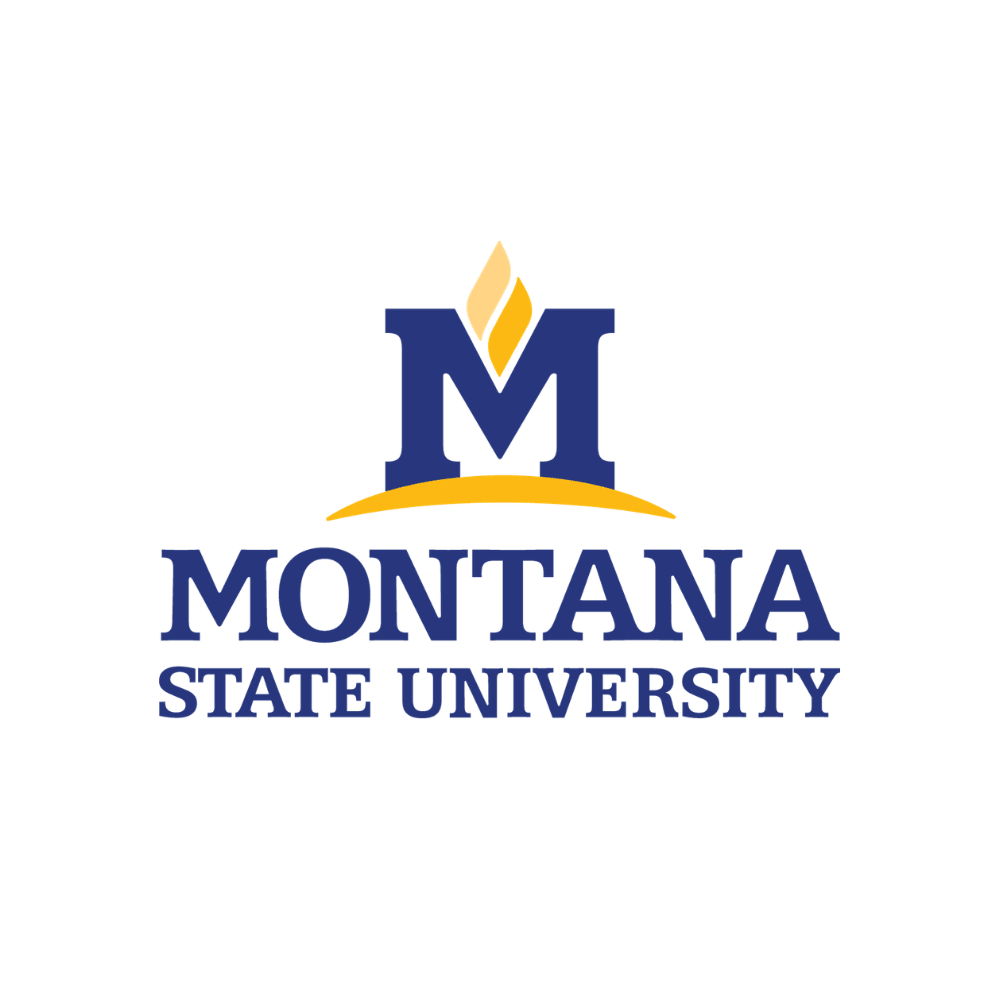 Montana State Bobcats - turtleson