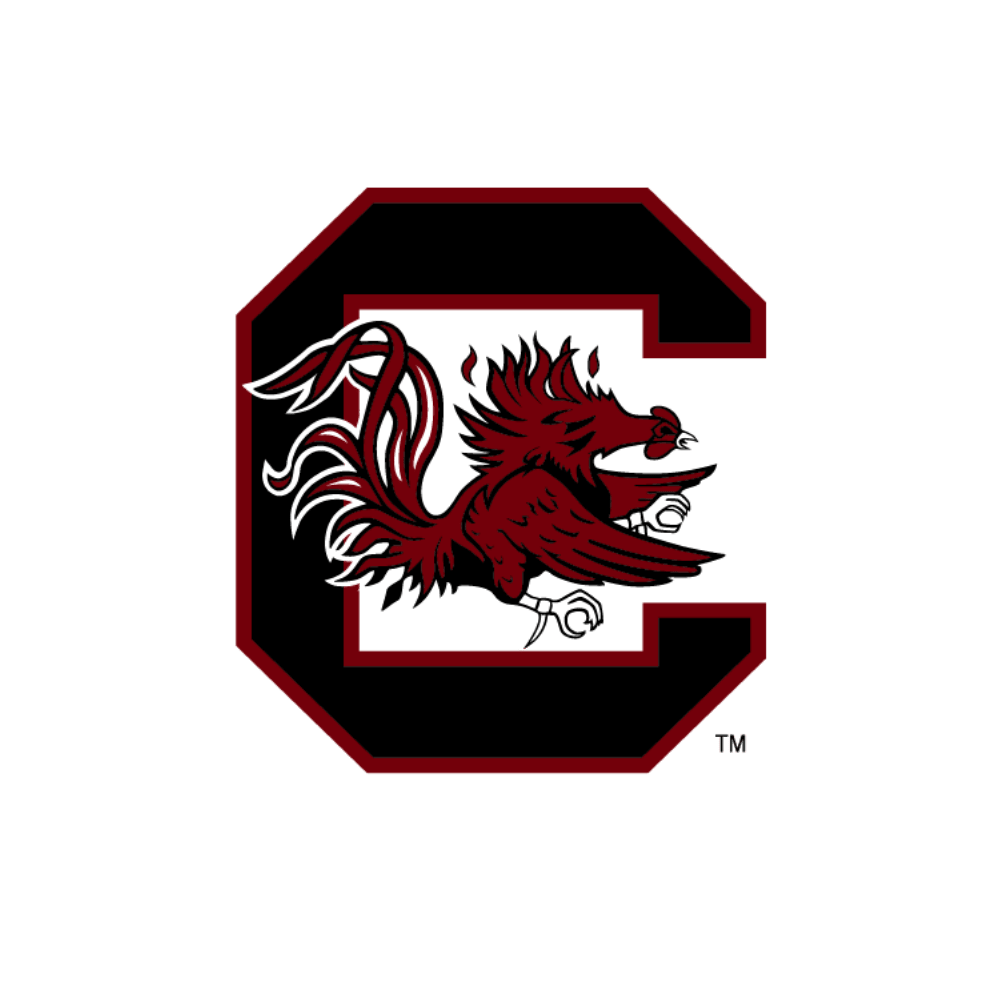 South Carolina Gamecocks - turtleson
