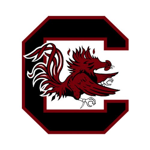 South Carolina Gamecocks - turtleson