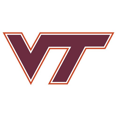 Virginia Tech Hokies - turtleson
