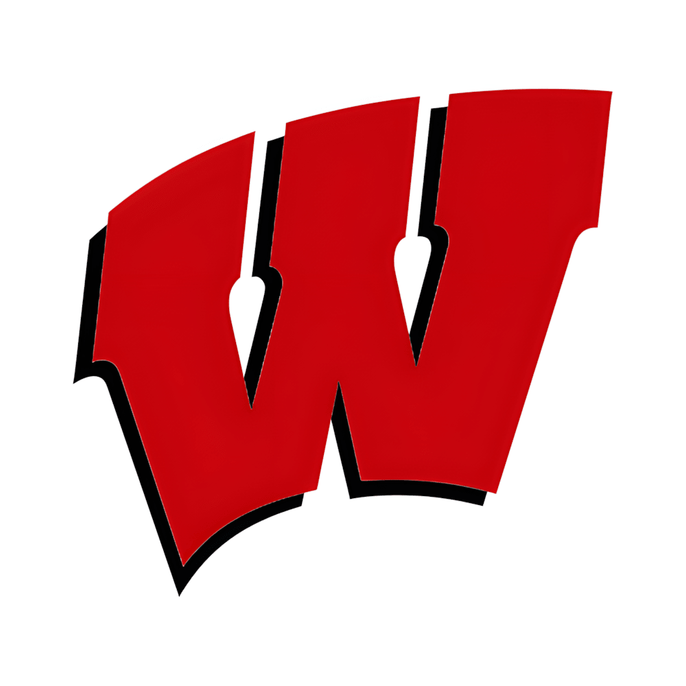 Wisconsin Badgers - turtleson