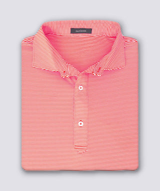 Carter Stripe Performance Polo - Seasonal - turtleson