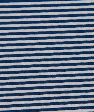 Carter Stripe Performance Polo - turtleson