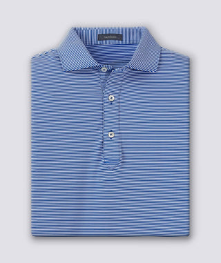 Carter Stripe Performance Polo - turtleson