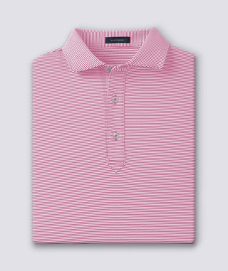 Carter Stripe Performance Polo - turtleson