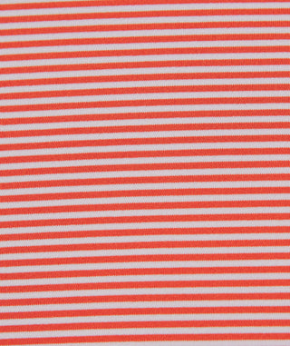 Carter Stripe Performance Polo - turtleson