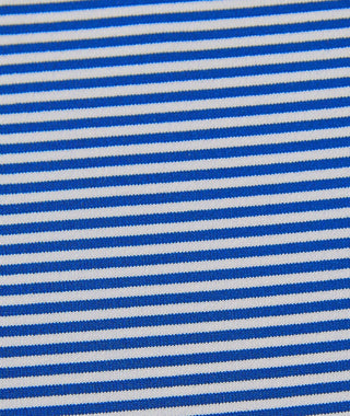 Carter Stripe Performance Polo, Long Sleeve - turtleson