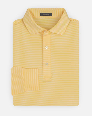 Carter Stripe Performance Polo, Long Sleeve - turtleson