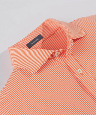 Carter Stripe Performance Polo, Long Sleeve - turtleson