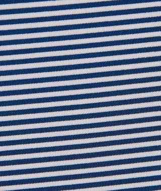 Carter Stripe Performance Polo, Long Sleeve - turtleson