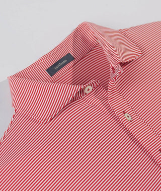Carter Stripe Performance Polo, Long Sleeve - turtleson