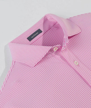 Carter Stripe Performance Polo, Long Sleeve - turtleson