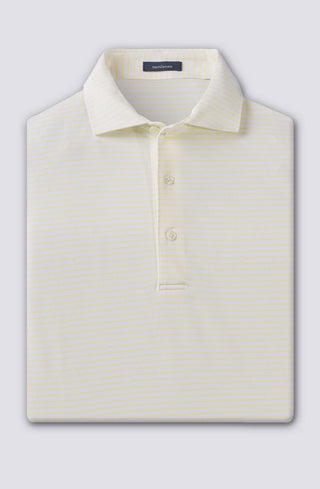 Dylan Stripe Performance Polo - turtleson