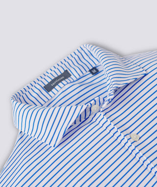 Dylan Stripe Performance Polo - turtleson