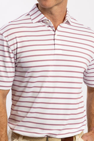 Pete Stripe Two Button Performance Polo