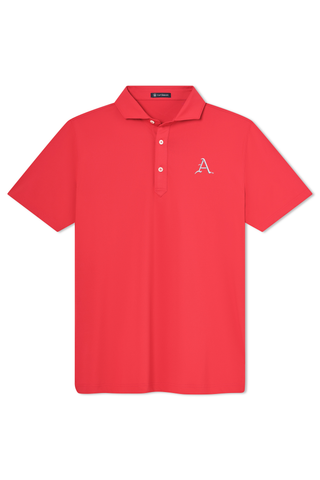 Beau Polo - University of Arkansas - Baseball Mark