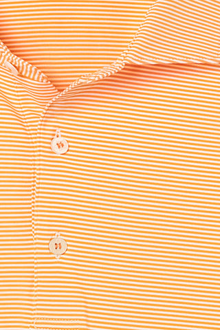 Collier Stripe Polo - Clemson University - Palmetto