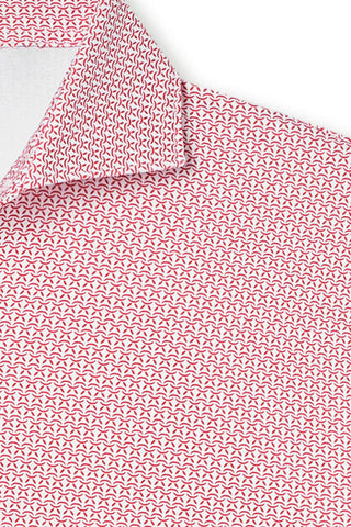 Ozzie Polo - University of Georgia - UGA Bulldog with Collar