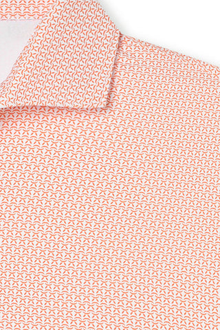 Ozzie Polo - Clemson University - Baseball Script