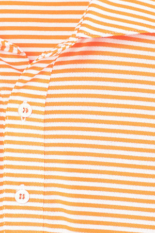 Hardy Stripe Polo - Clemson University - Palmetto