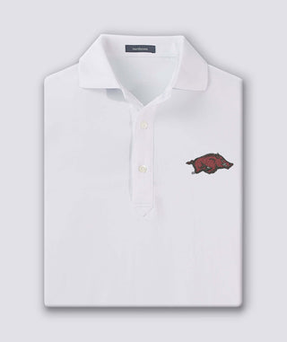 Palmer Solid Performance Polo - University of Arkansas - turtleson