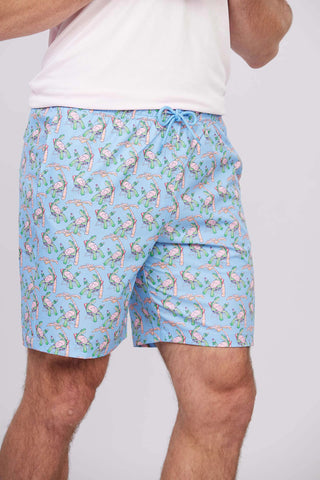 Ridley Swim Trunk - turtleson