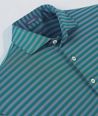 Rory Stripe Performance Polo - turtleson