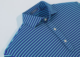 Ryan Stripe Performance Polo - turtleson