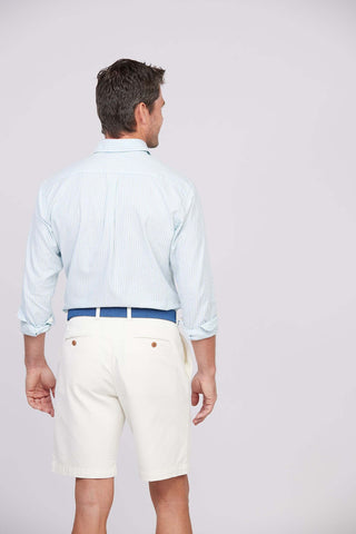 Clint Stripe Oxford Men's Work Shirt - Back - Turtleson