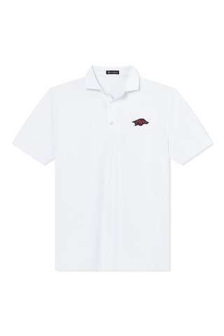 Beau Polo - University of Arkansas - turtleson