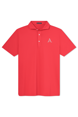 Beau Polo - University of Arkansas - Baseball Mark - turtleson