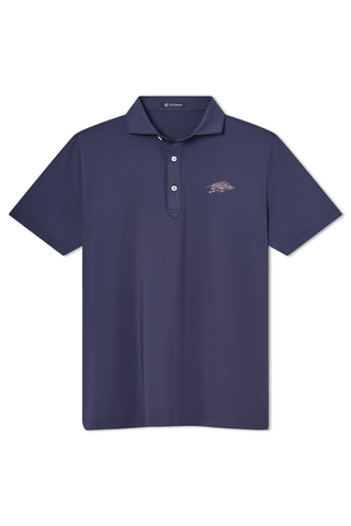 Beau Polo - University of Arkansas - Patriotic Razorback - turtleson