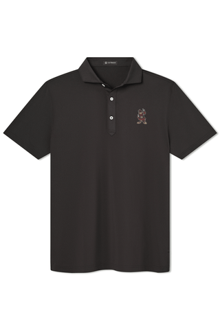 Beau Polo - University of South Carolina - Cocky - turtleson