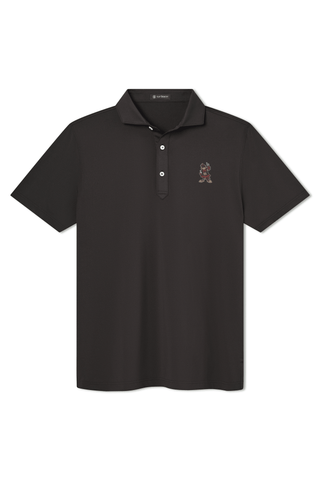 Beau Polo - University of South Carolina - Cocky - turtleson