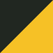 Black / Gold