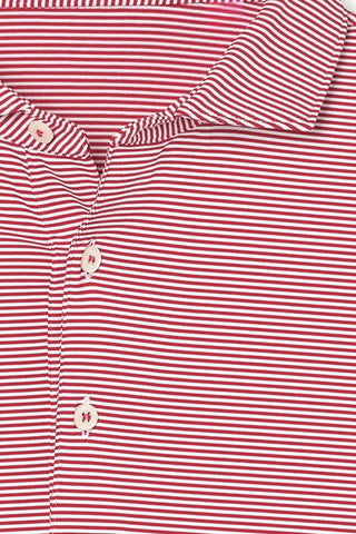 Collier Polo - Florida State - Seminole Head - turtleson