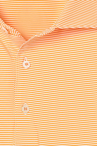 Collier Polo - Oklahoma State University - turtleson