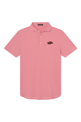 Collier Polo - University of Arkansas - turtleson