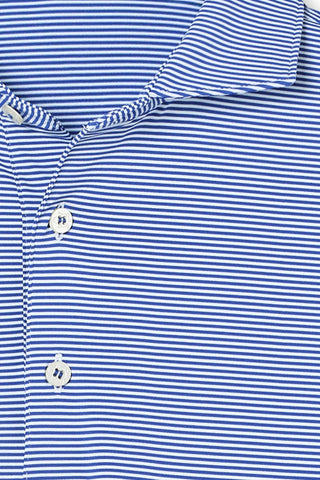 Collier Polo - University of Kentucky - turtleson