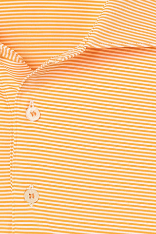 Collier Polo - University of Tennessee - turtleson