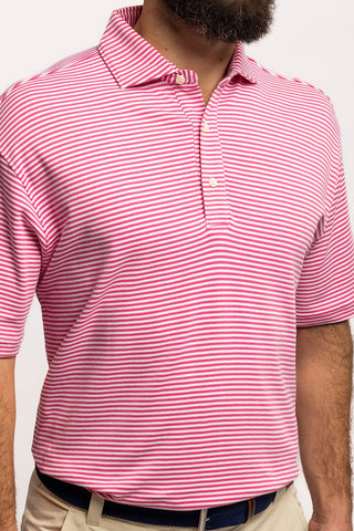 Duncan Stripe Cotton Polo - turtleson
