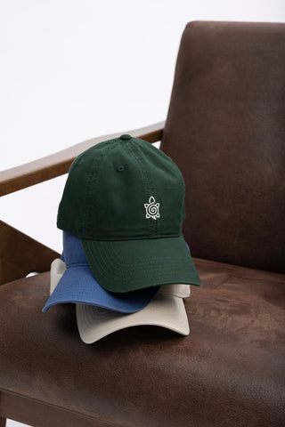 Everyday Dad Hat - turtleson