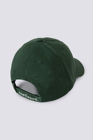 Everyday Dad Hat - turtleson
